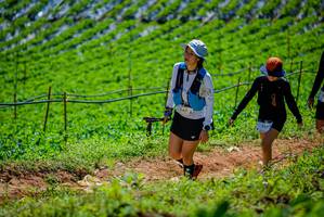 BIB: 294
                            <button type="button" onclick="openModal(19164500)" class="btn btn-primary btn-sm float-right btn-popup" data-toggle="modal" data-target=".modal-high-quality">
                        <i class="fas fa-shopping-cart"></i> Add to Cart
                    </button>
                                            <button type="button" onclick="isThisMe(19164500, true)" class="btn btn-success btn-sm float-right btn-popup btn-isme hidden" data-toggle="tooltip" data-placement="bottom" title="นี่คือรูปของคุณใช่ไหม คลิกที่นี่เพื่อเอาเข้าอัลบั้ม">
                        <i class="fas fa-plus"></i> Add to album
                    </button>
                    <button type="button" onclick="isThisMe(19164500, false)" class="btn btn-warning btn-sm float-right btn-popup btn-isnotme hidden">
                        <i class="fas fa-ban"></i> Remove from album
                    </button>